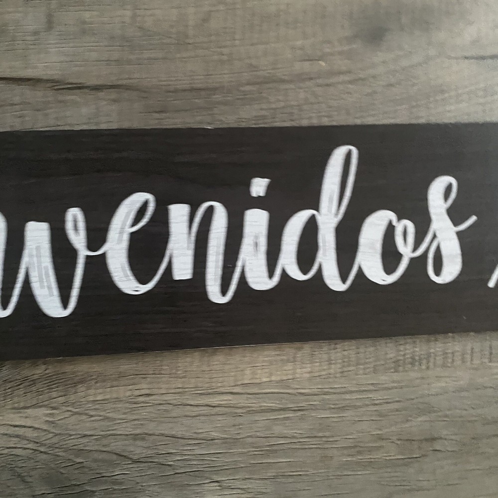 bilingual elementary education poster lot/ Snoopy