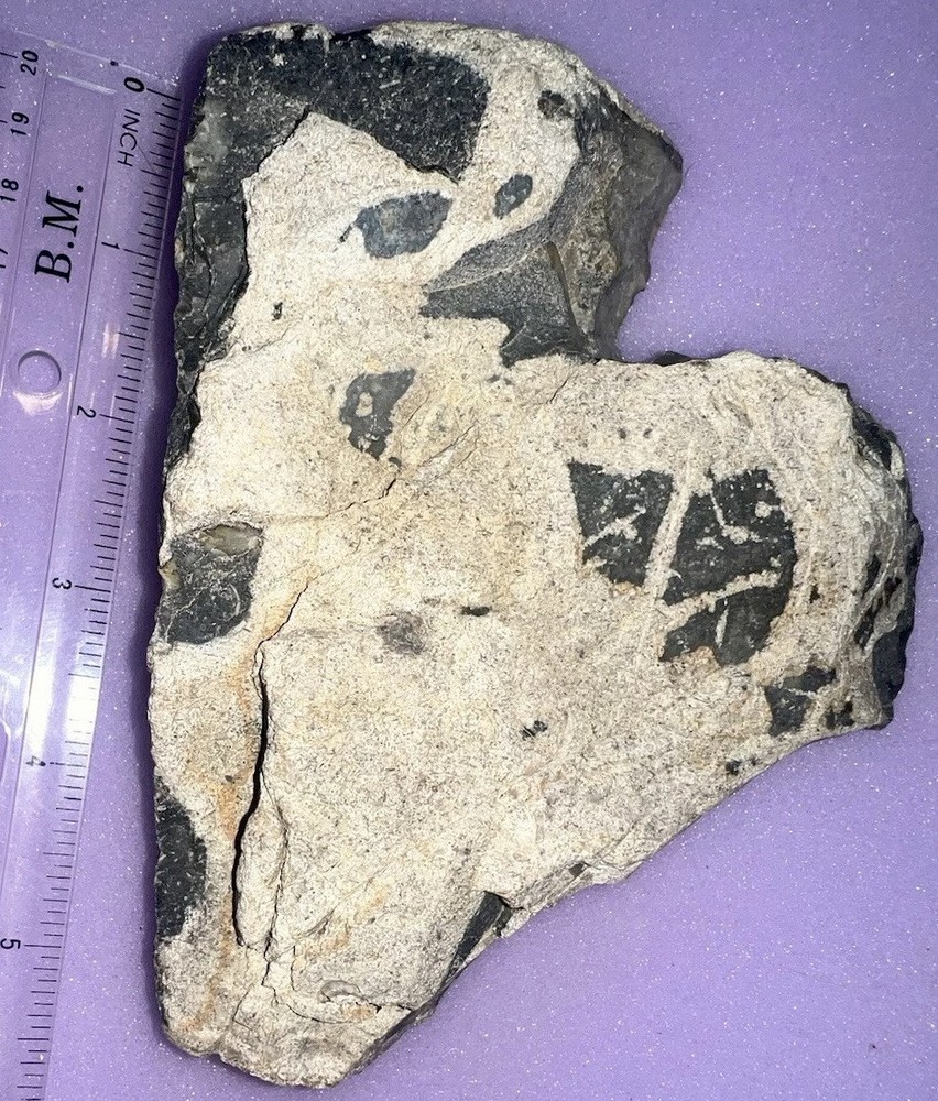 ❤️Heart Shaped Rock Large 1.582 lbs.