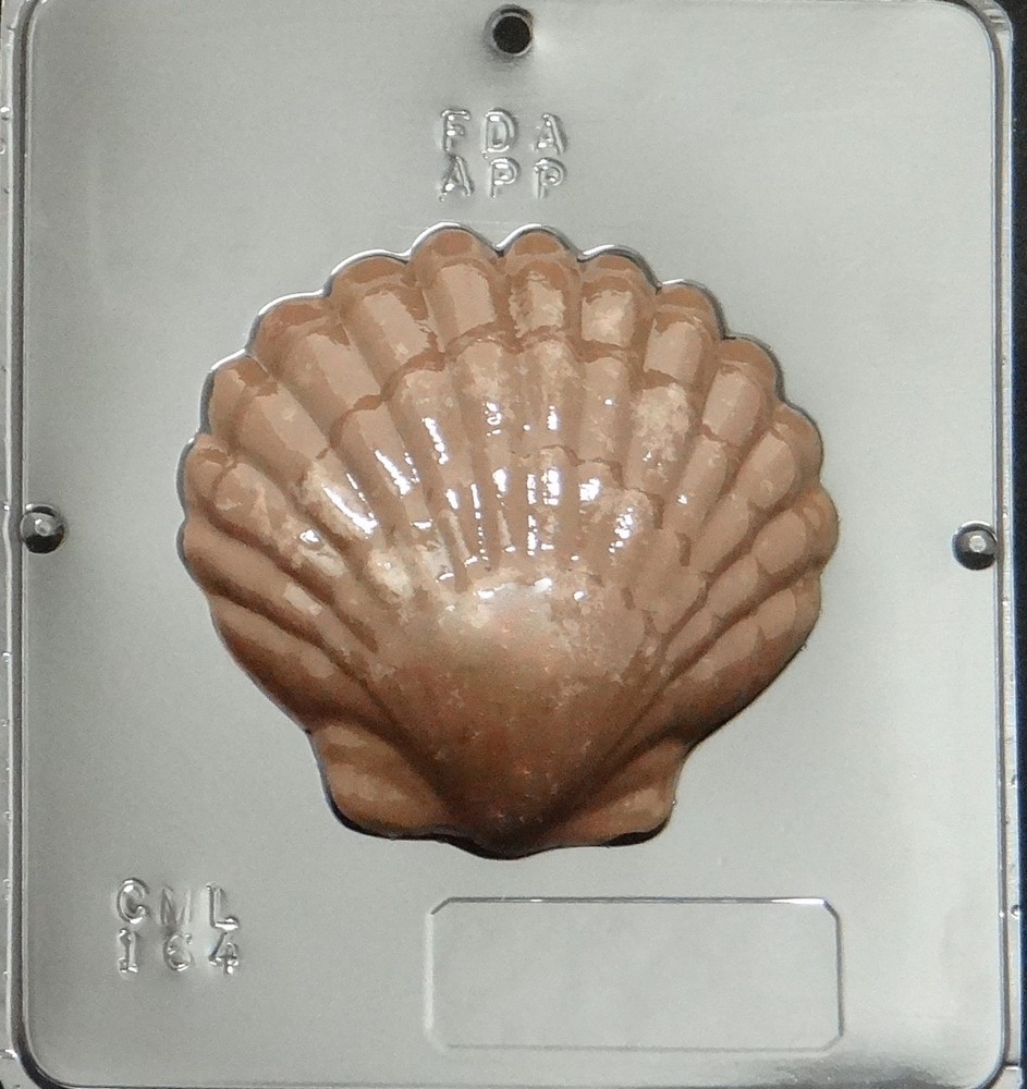 Large Sea Shell Chocolate Candy Mold Candy Making  164 NEW