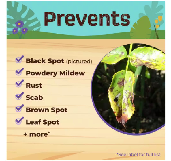 Captain Jack's Tomato & Veg Spray 32oz RTU Insect Disease Control