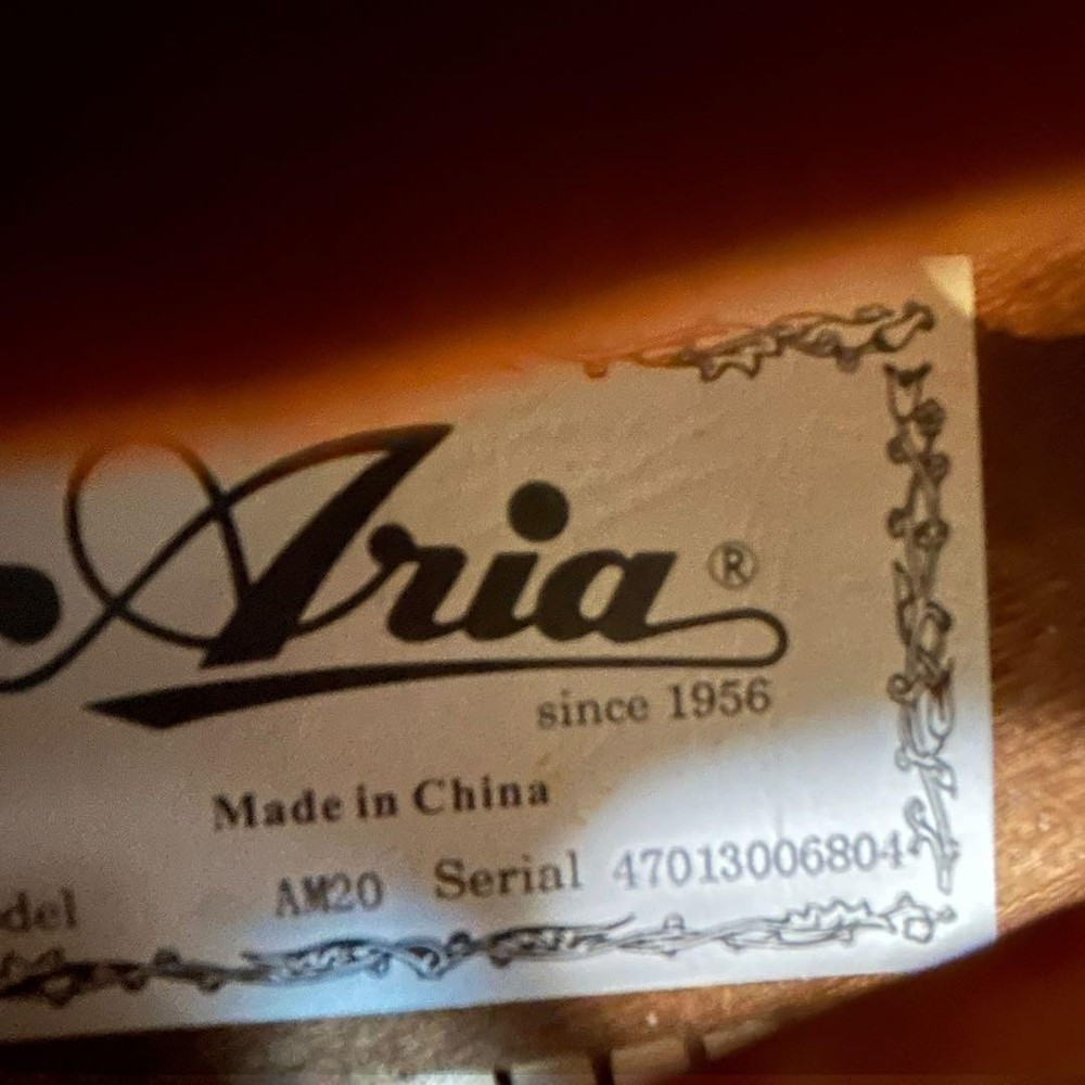 [Good condition/new strings] Aria AM20 8 string mandolin hard case included