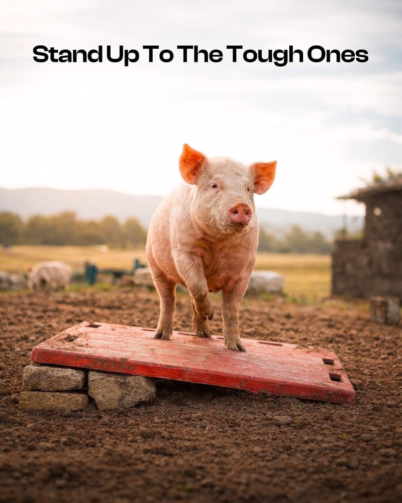 Pig Sorting Board w/Sorting Stick Paddle - Livestock Sorting Panel - Cattle P...