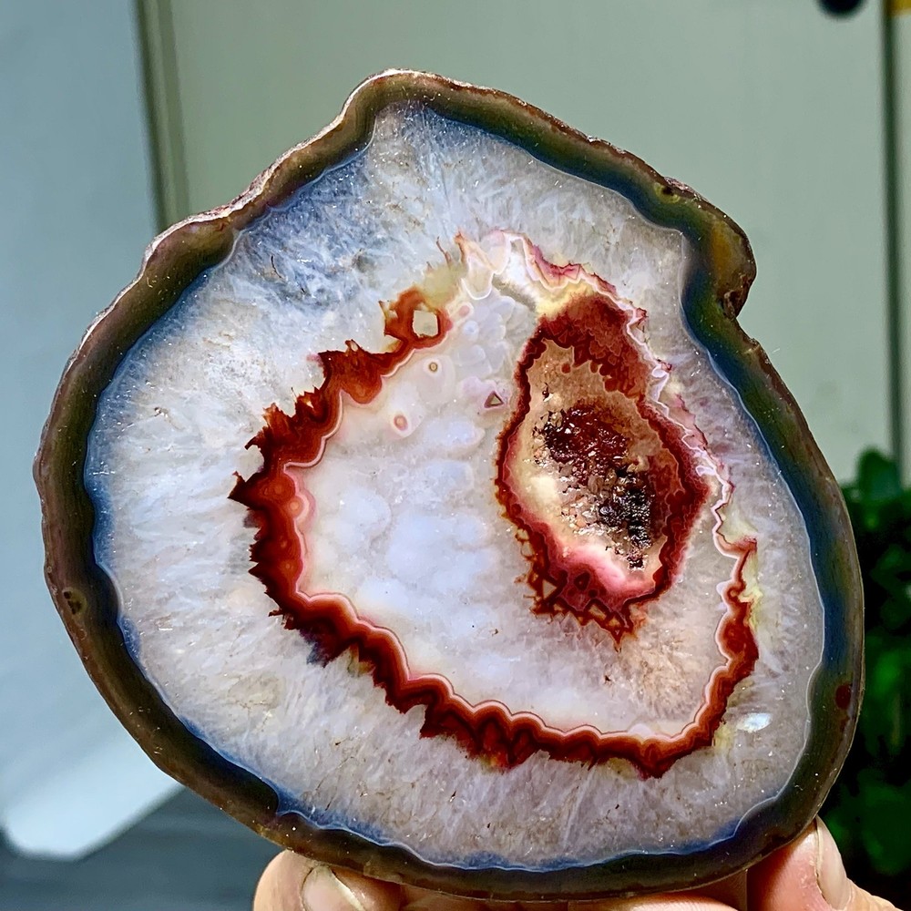287G Natural Beautiful Agate Geode Druzy Slice Extra Large Gemstone