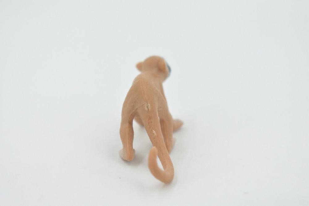 Monkey Squirrel Primate Realistic Toy Figure Statue Model 2.5" CH548 BB159