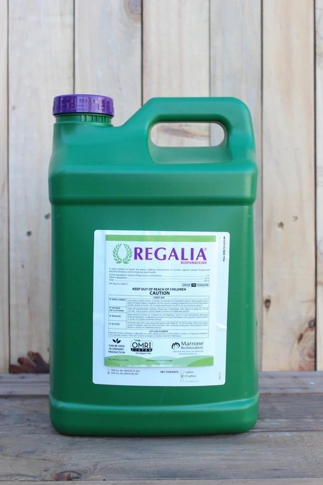 Regalia Fungicide & Bactericide 1 Gallon
