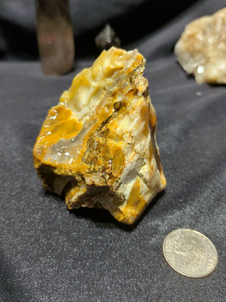Petrified Wood Fully Opalized MulticolredlSpecimen Natural Form (12.2oz)