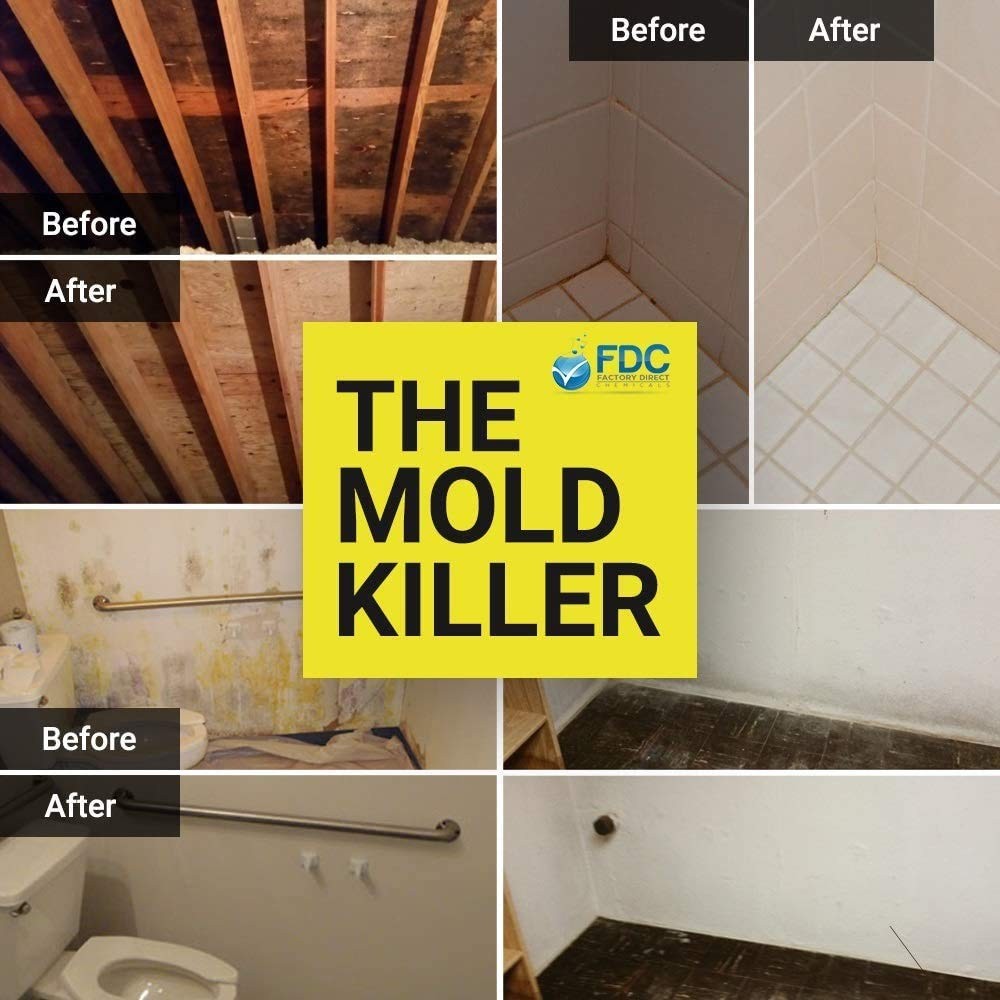 Pro Disinfectant Mildew Virus Mold Killer Cleans Deodorizes Lemon Scent