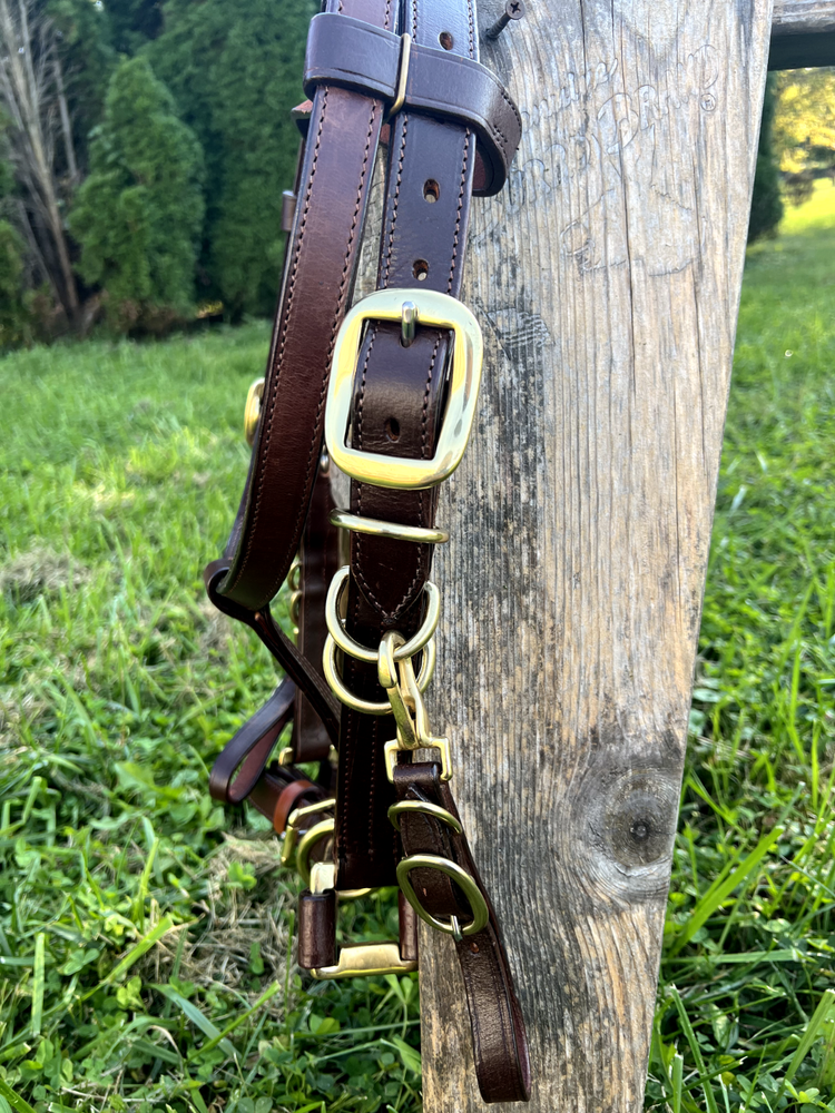 Leaders Heavy Duty True Draft Size Halter Bridle with Solid Brass Hardware