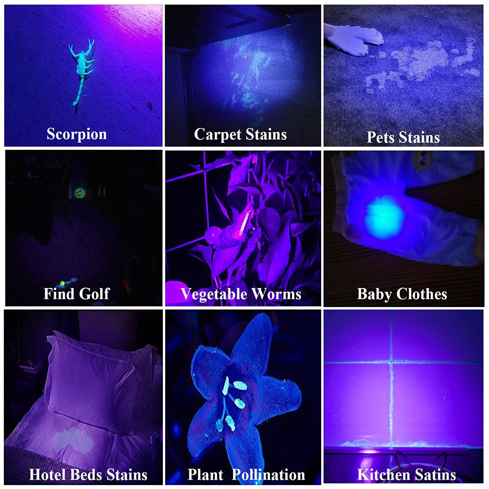 2X 395nm UV Light Penlight Black Light Scalable Clip Pen Light Flashlight