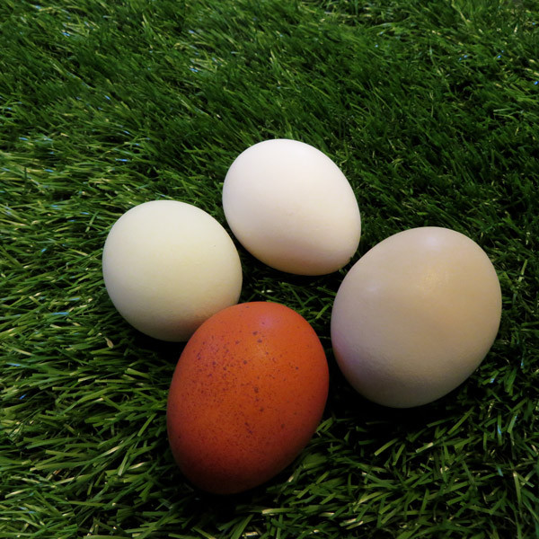 Turf Nest Box Liners-USA made