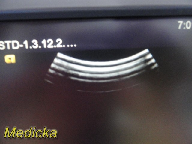 Siemens ACUSON 4C1 Curved Array Ultrasound Probe | Ref 08258525 ~ 39513