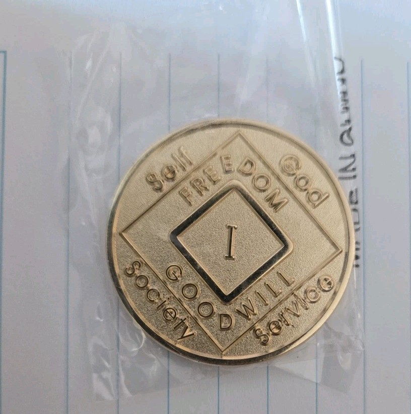 NA Medallion Official Narcotics Anonymous Bronze Chips
