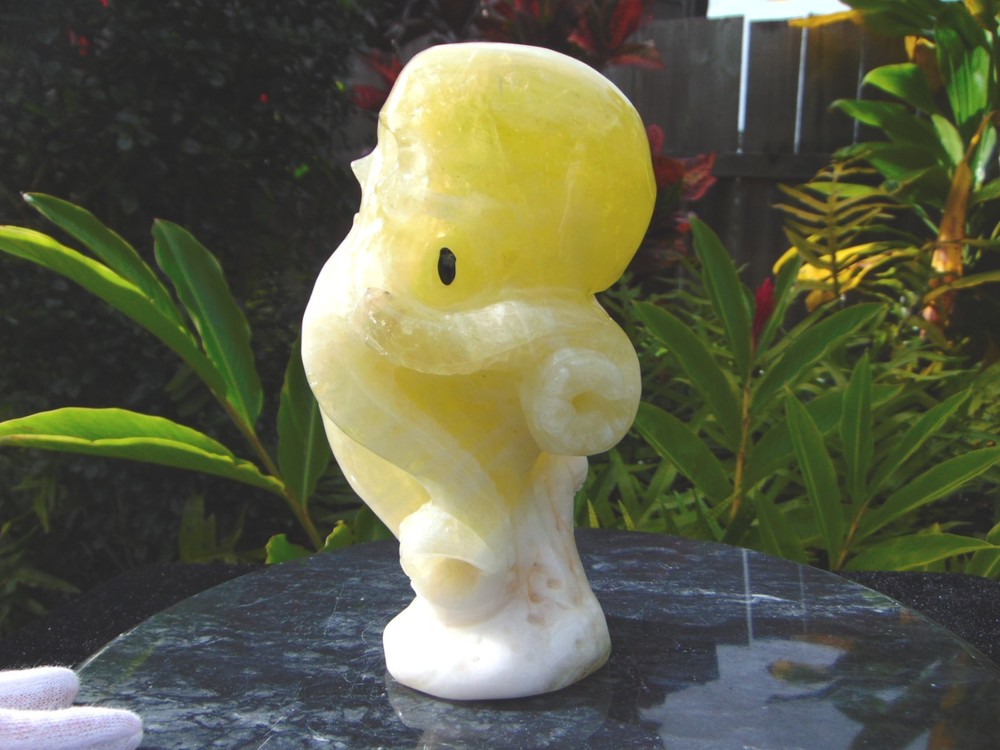 Citrine Carved Octopus Skull from Skullis