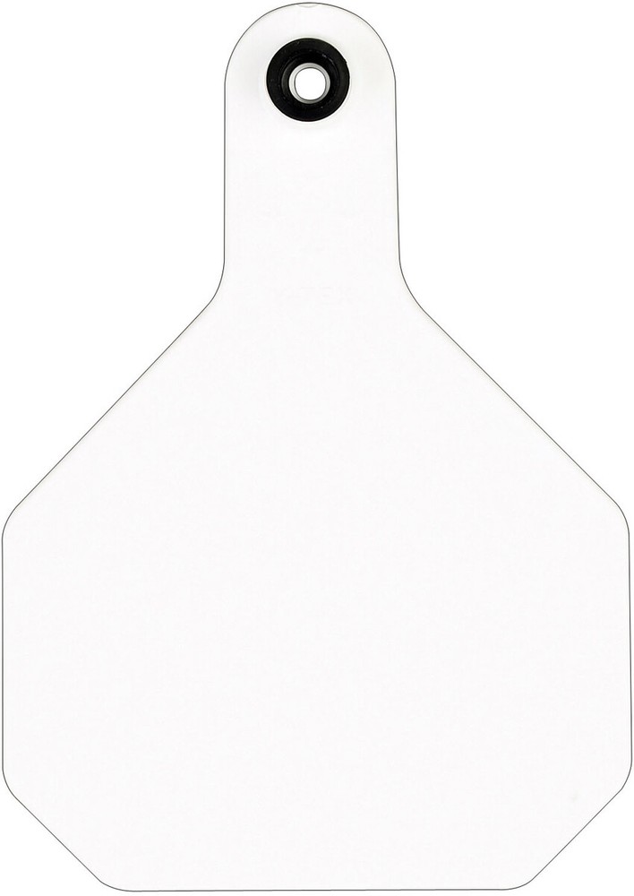 Y-Tex 4 Star Large Blank Cattle Tags 25 Count White