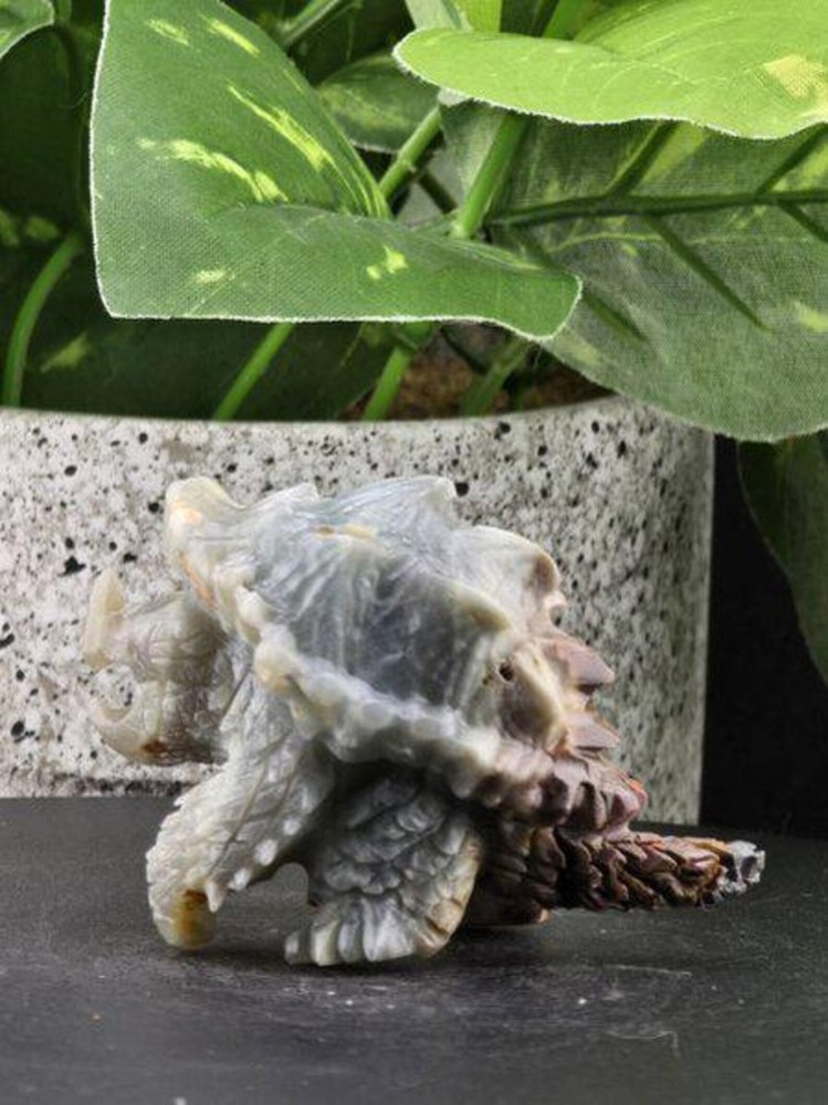 NATURAL AMAZONITE CARVED SNAPPING TURTLE TORTOISE