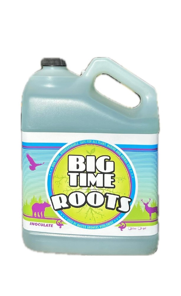 Big Time Roots