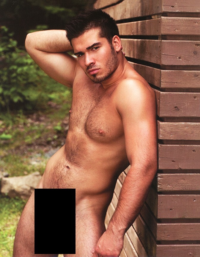 COLT STUDIOS 2012 HAIRY CHESTED MEN CALENDAR - GREAT CONDITION