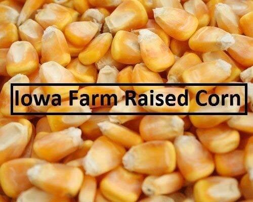 4 Pounds Whole Kernel Feed Corn - Made in USA - Make Corn Meal