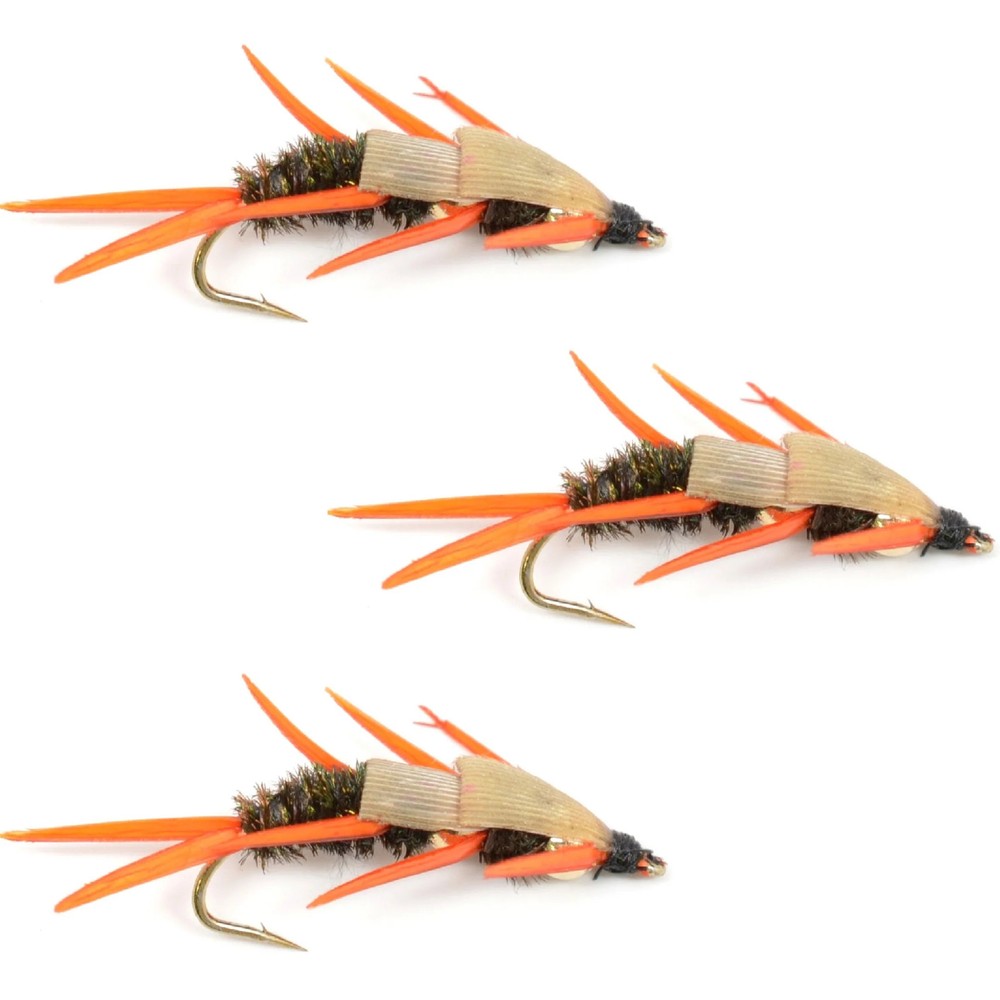 3 Pack Double Bead Peacock Stonefly Nymph Amber Biot Legs - Hook Size 12