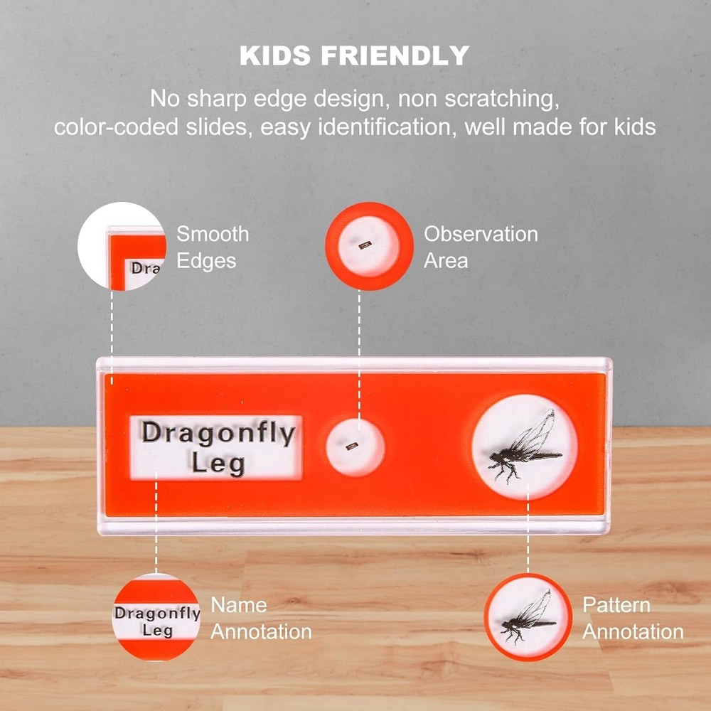 48 Educational Microscope Slides - Perfect for Young Scientists' Exploration