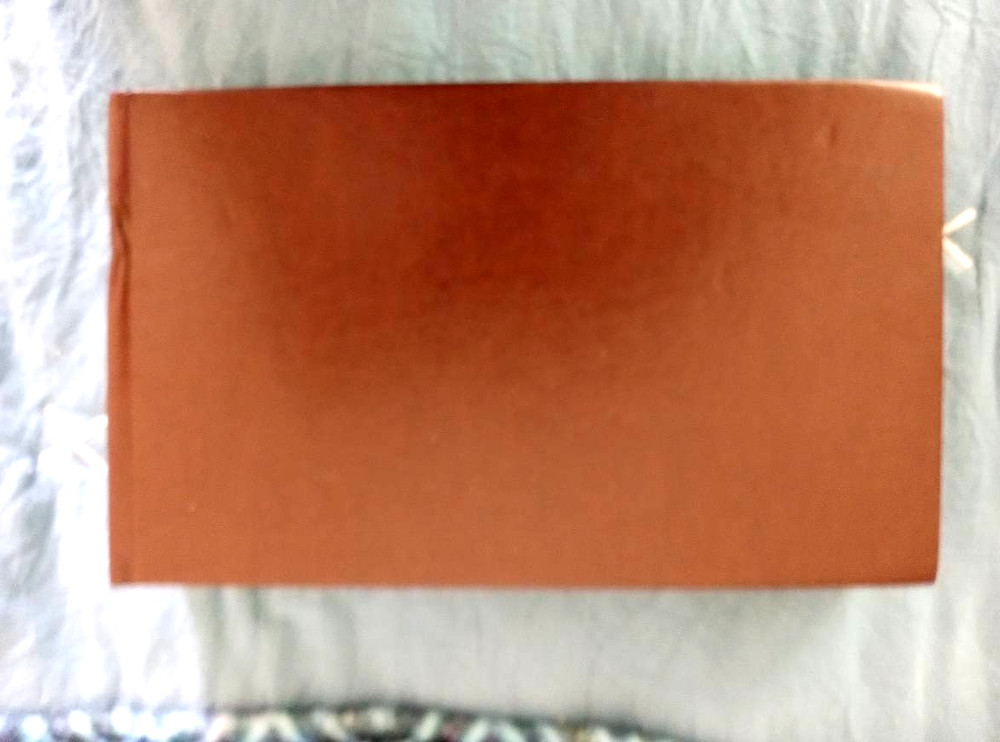 Professional Pilot Logbook for All Pilots NEW