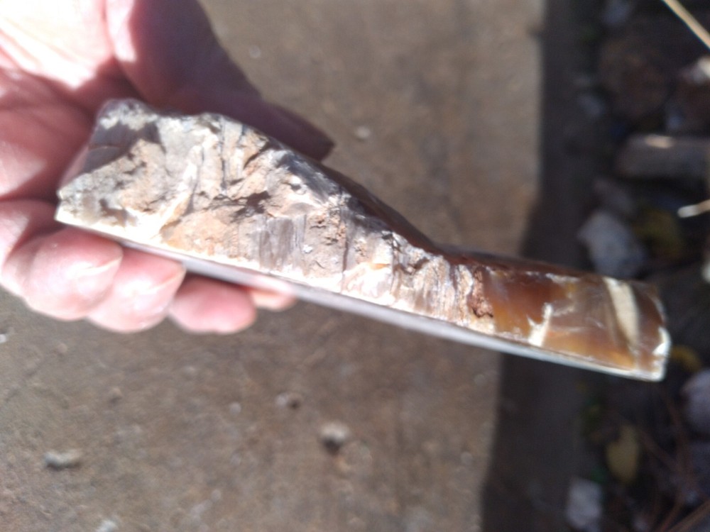 Opalized Wood Slab
