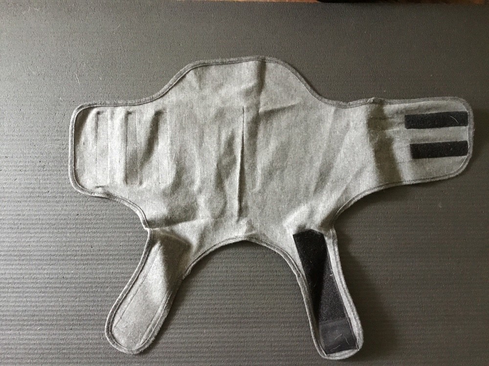 Medium Dog Thunder Shirt