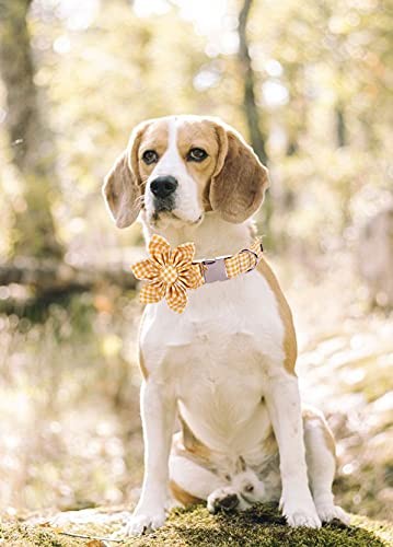 Dog Collar with Flower Soft and Comfortable Adjustable Collar for Medium Dogs...