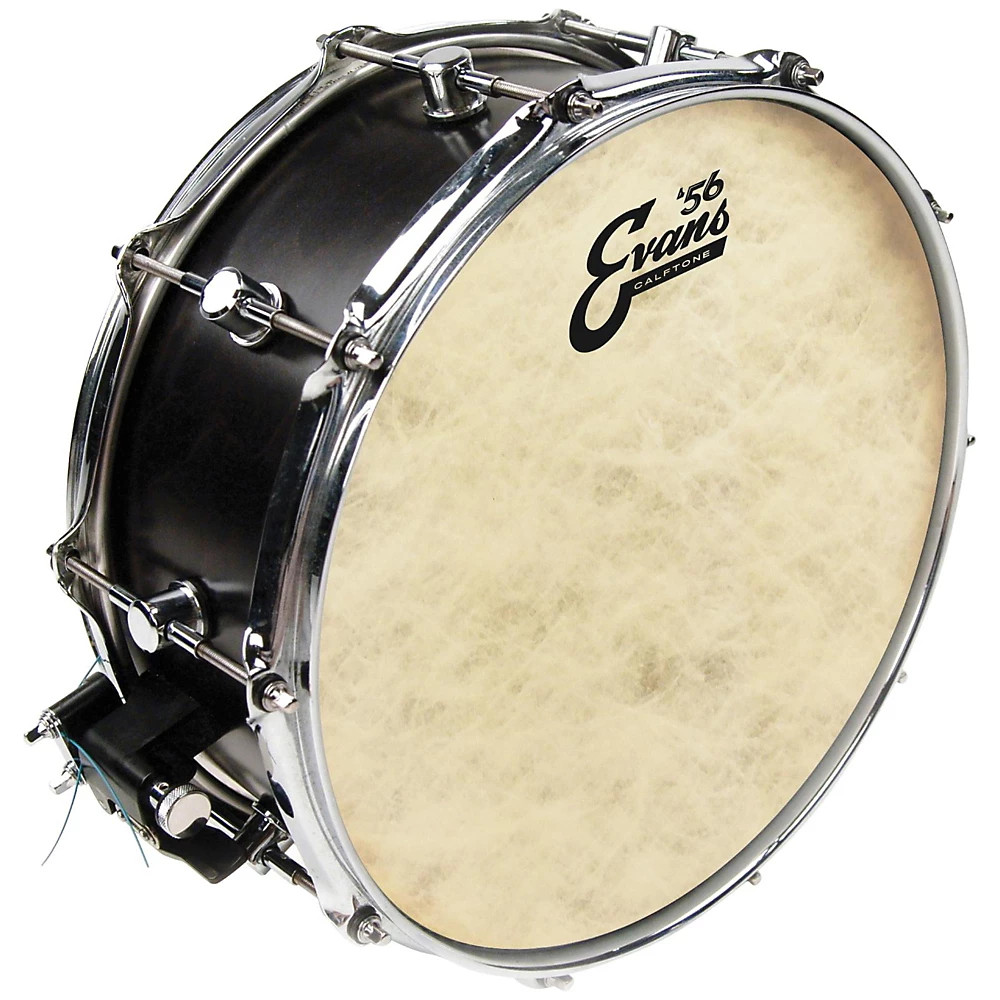 Evans Calftone Drumhead 14 in.