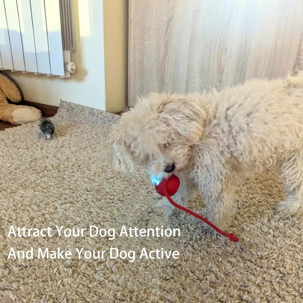 rolling ball for dogs
