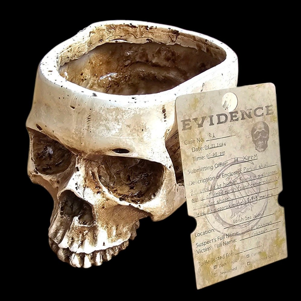 Trunk Of Requirements Experimental Test Subject Skull