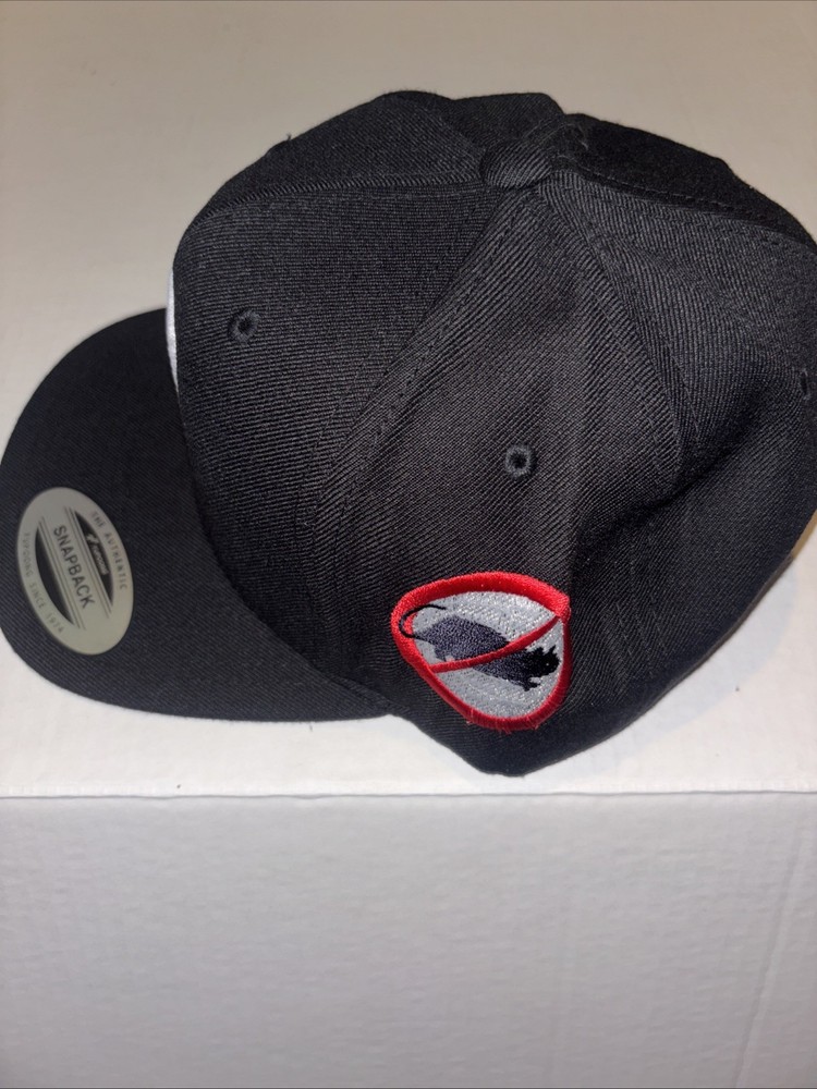 Teamsters No Ratas Snap Back Black