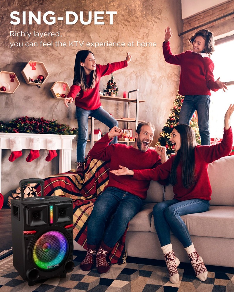 Karaoke Machine with 2 Wireless Microphones & Bluetooth Speaker