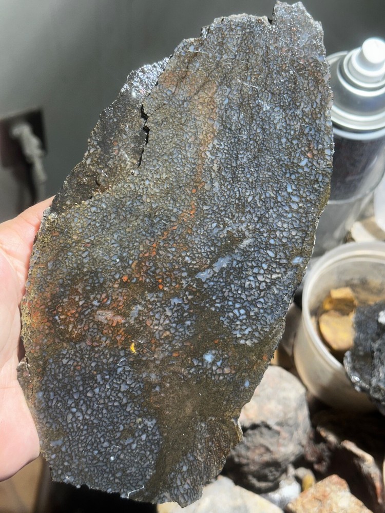 Dinosaur bone rough **hxtled large slab.