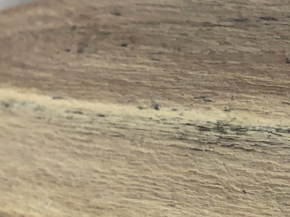 Petrified Wood 2.5 oz.