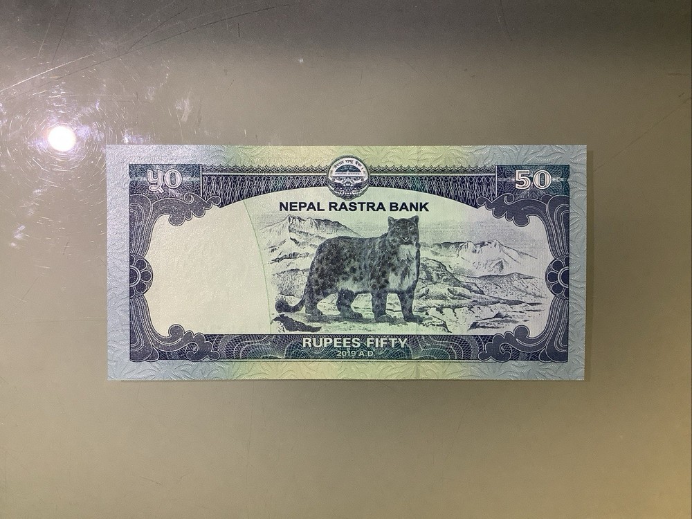 Nepal 50 Rupees 2019 UNC