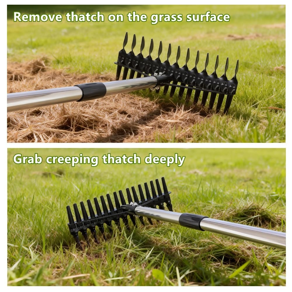 QZTODO Thatch Rake - 63 Inch Dethatcher with Upgraded Dual-Action Black