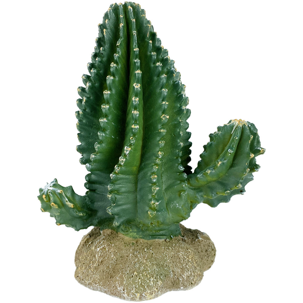 Komodo Columnar Cactus