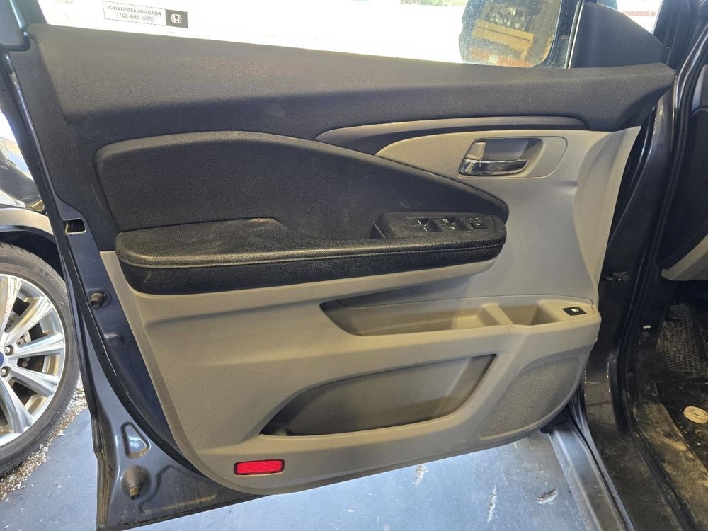 PILOT 2017 Jack 1552265