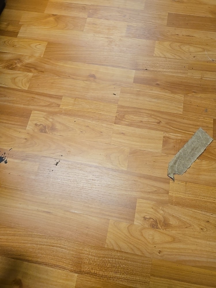 NAPA 1482 Hydraulic Filter