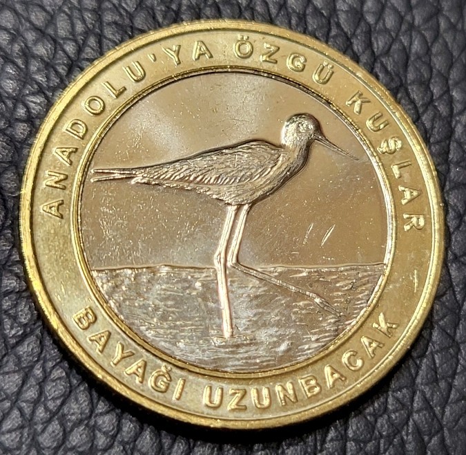 2019 Turkey 1 Kuruş Coin