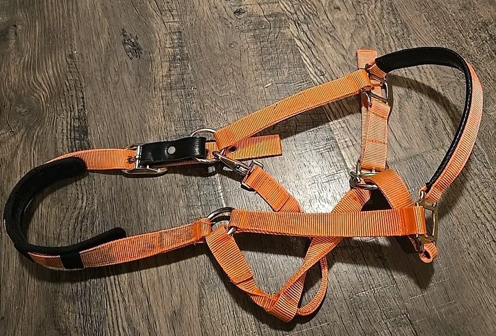 Horse Halter
