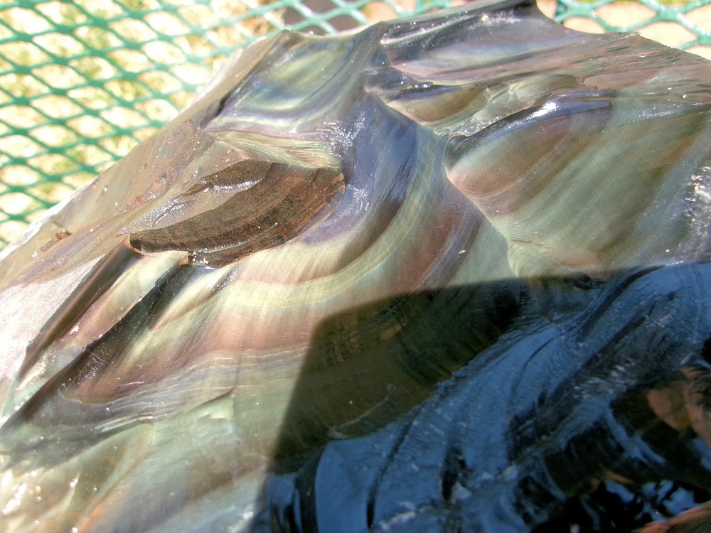 Rainbow Obsidian Lapidary Rough for Cabbing 39.15 Lbs. Mexico