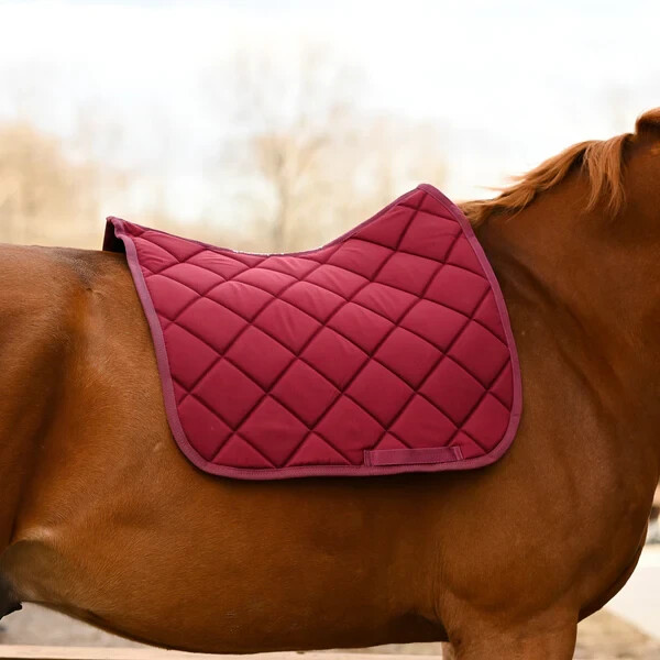Dreamers & Schemers Dressage Saddle Pad