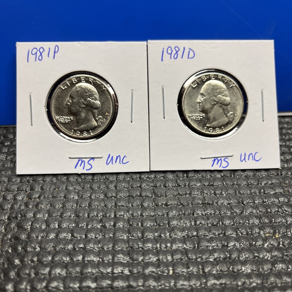 1981 P&D Washington Quarter Set