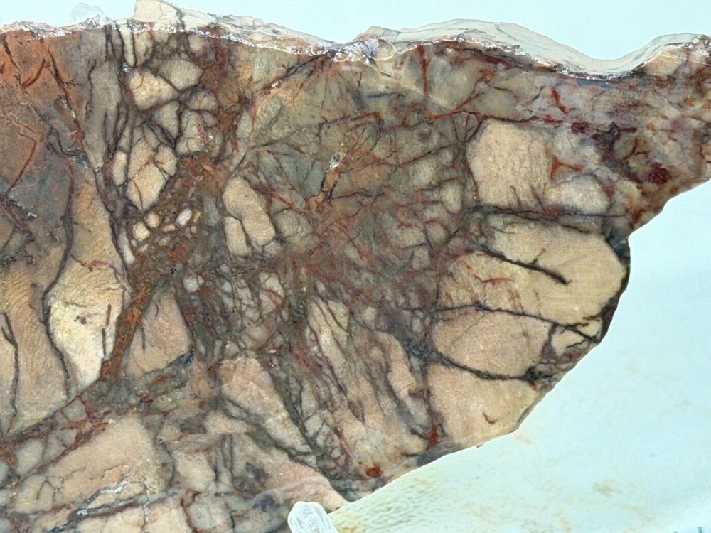 Dead Camel Jasper Slab, Lot#84