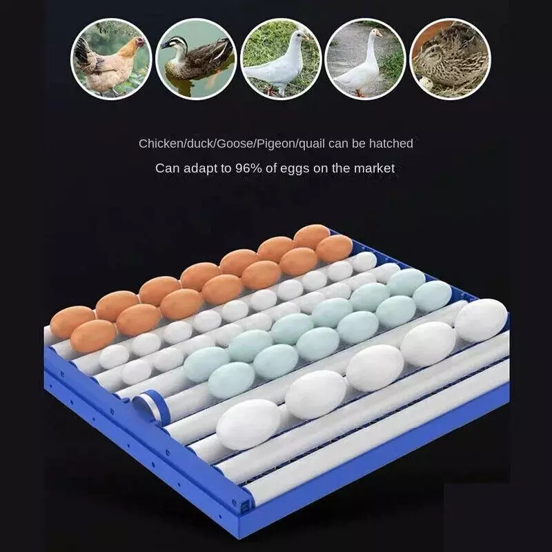 204 Egg Incubator Fully Automatic Turning Digital Brooder WiFi for Farm Home Use
