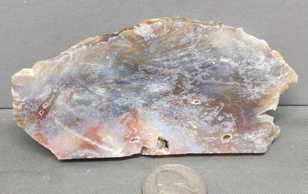 Opalized Agate rough slab for cabbing. Mesmerizing! #OA-002