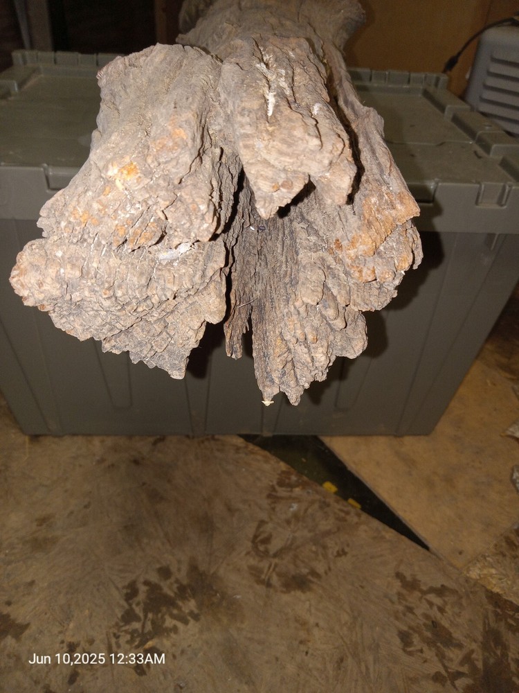 125 Year Old Ax Cut Fense Post