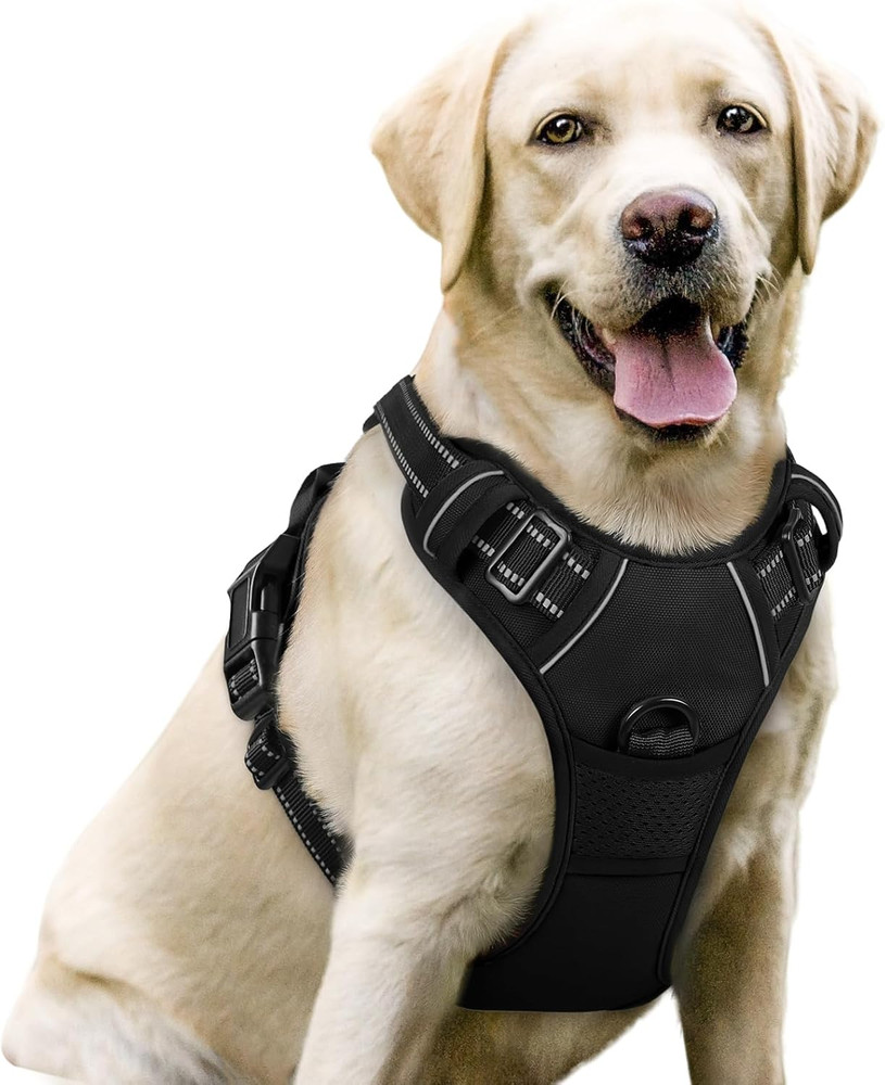 Dog Harness No Pull with 2 Leash Clips, Adjustable Soft Padded, Reflective Oxfor